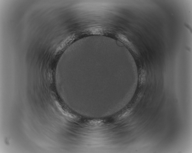 X0000101980213200808081623