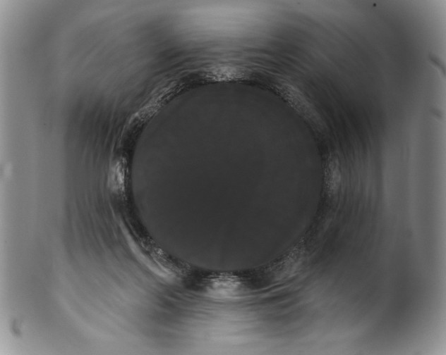 X0000101980214200808081623