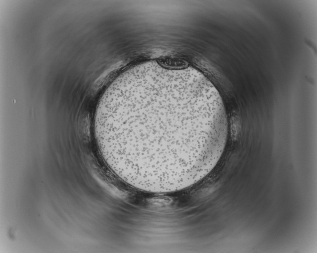 X0000101980215200808081623