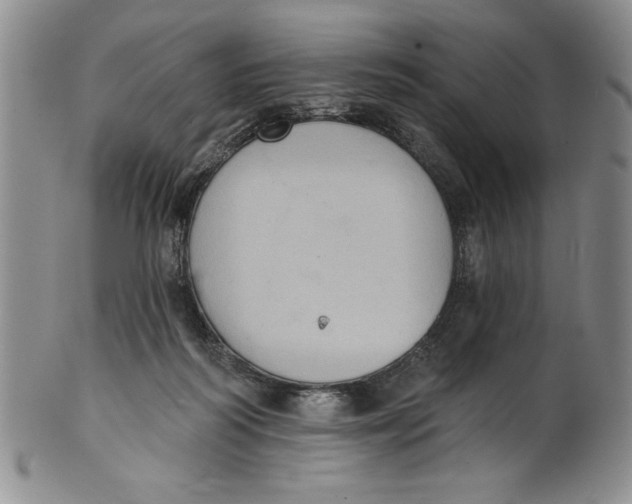 X0000101980218200808081623