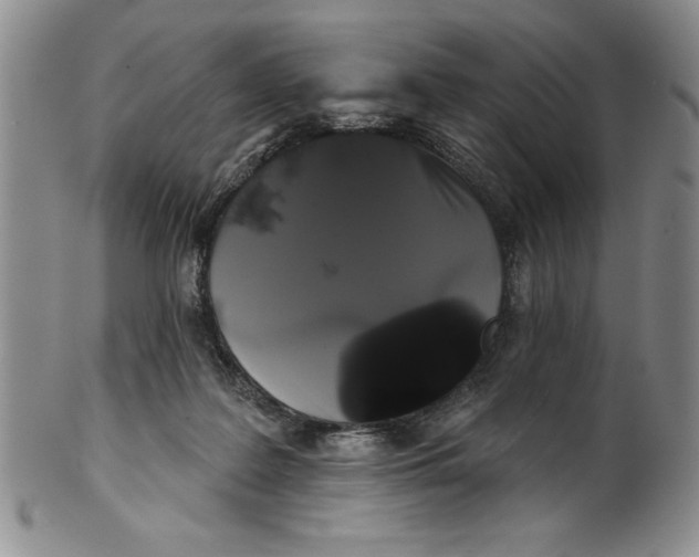 X0000101980219200808081623