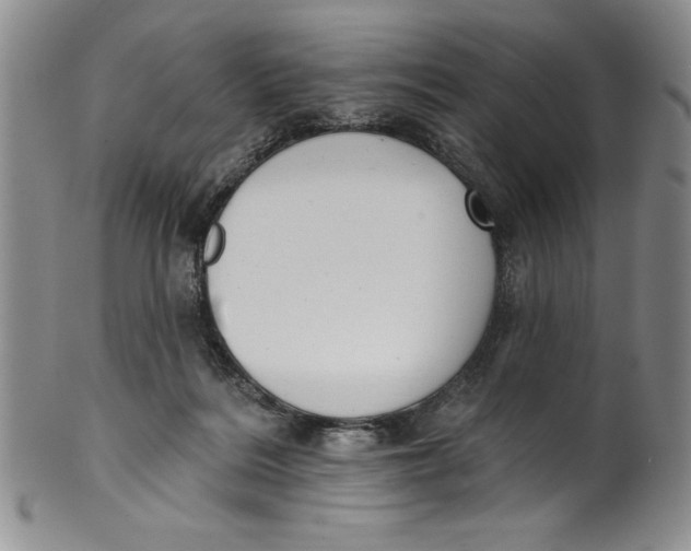 X0000101980220200808081623