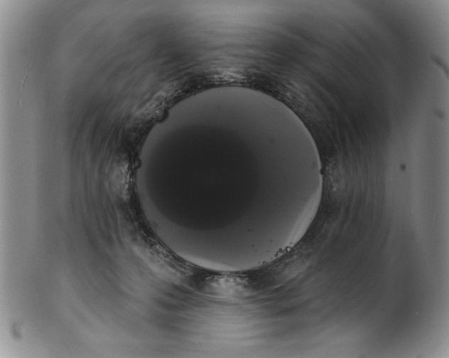 X0000101980223200808081623