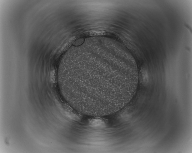 X0000101980224200808081623