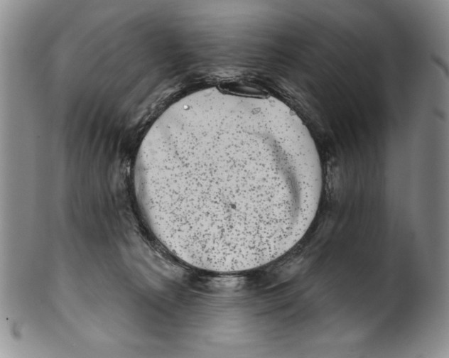 X0000101980225200808081623