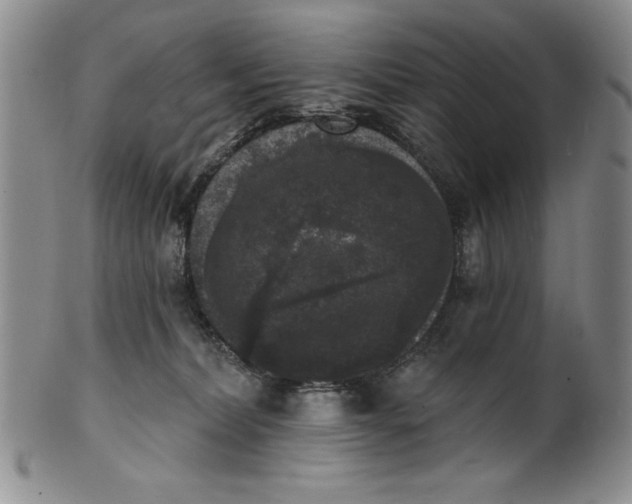 X0000101980228200808081623