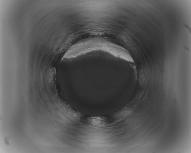 X0000101980229200808081623