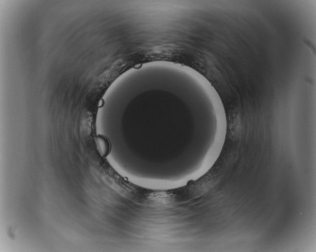 X0000101980231200808081623