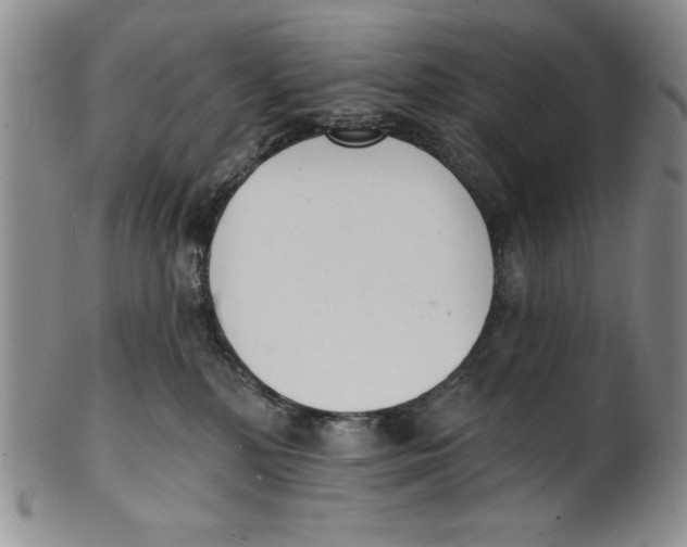 X0000101980232200808081623