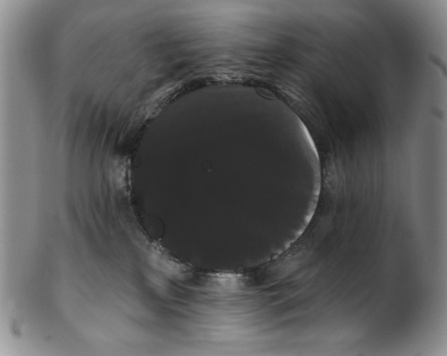 X0000101980233200808081623