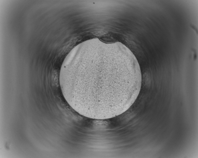 X0000101980234200808081623