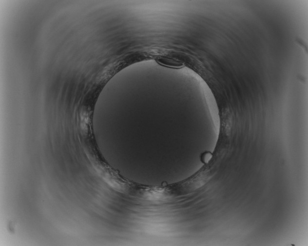 X0000101980235200808081623