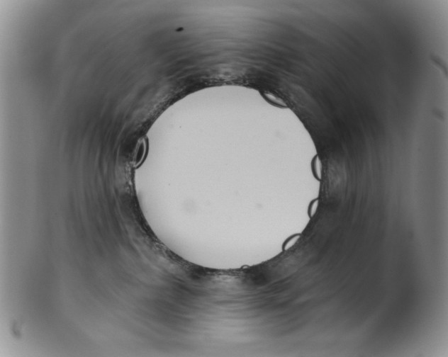 X0000101980236200808081623