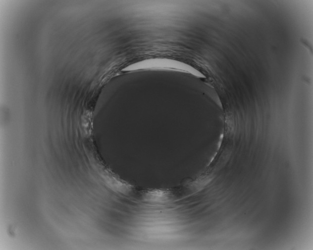 X0000101980237200808081623