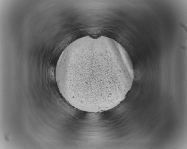 X0000101980238200808081622