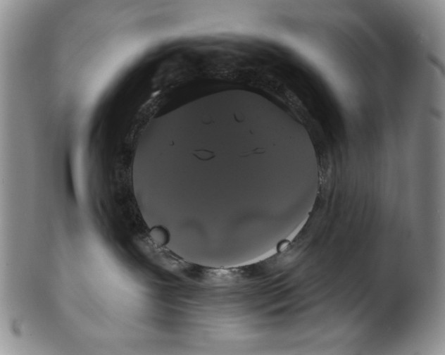 X0000101980239200808081622