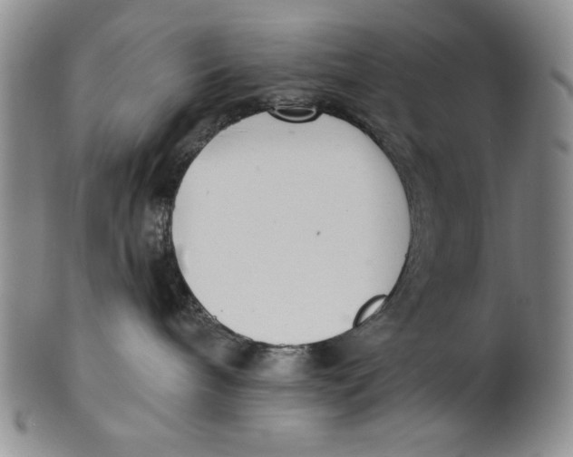 X0000101980240200808081622