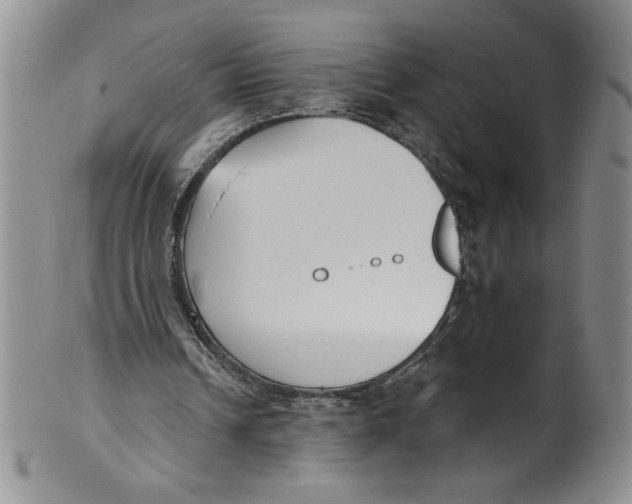 X0000101980242200808081622