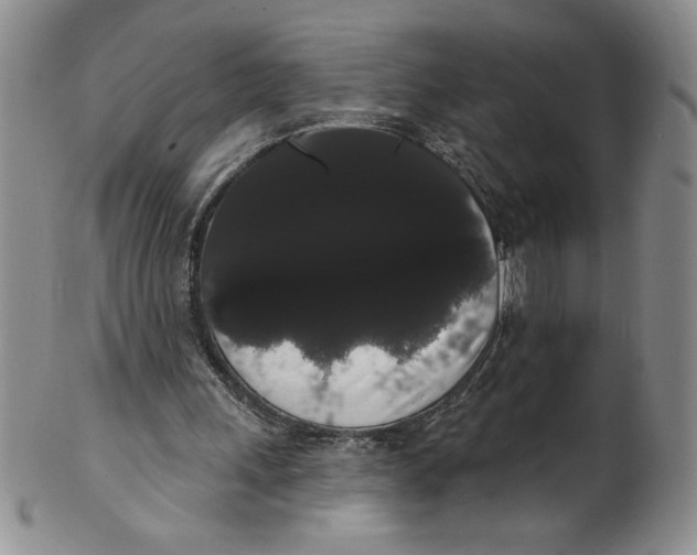 X0000101980243200808081622