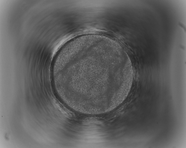 X0000101980244200808081622