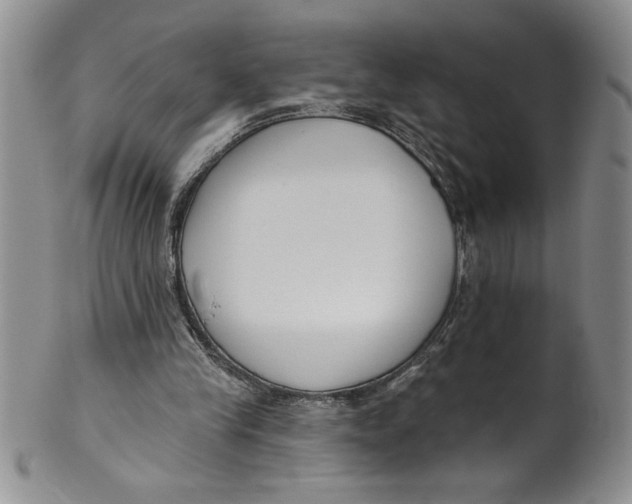 X0000101980245200808081622