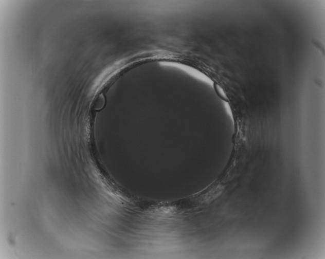 X0000101980247200808081622