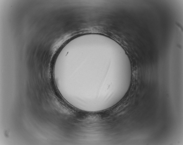 X0000101980248200808081622