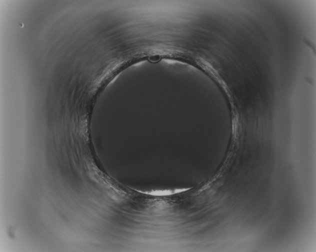 X0000101980249200808081622