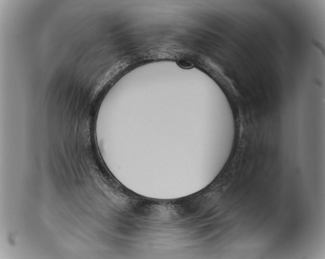 X0000101980250200808081622