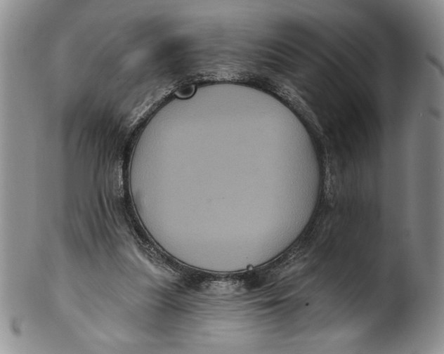 X0000101980251200808081622