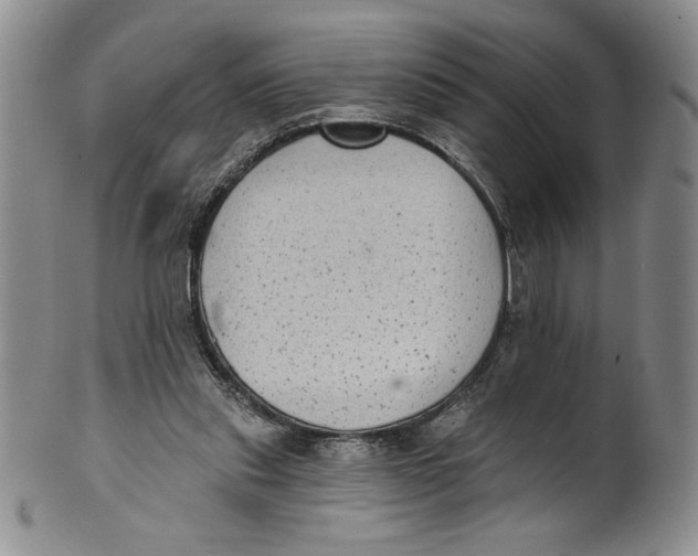 X0000101980253200808081622