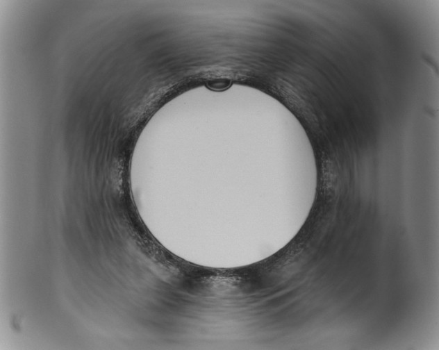 X0000101980255200808081622