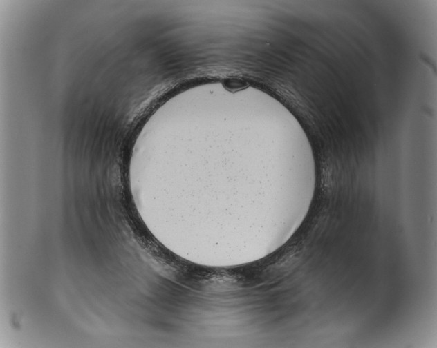 X0000101980256200808081622