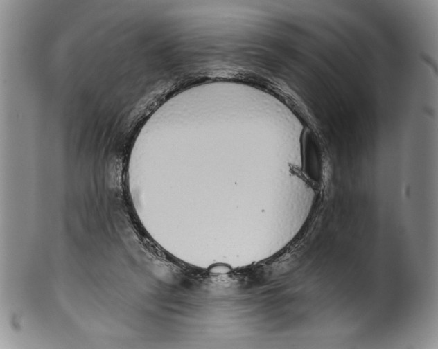 X0000101980257200808081622