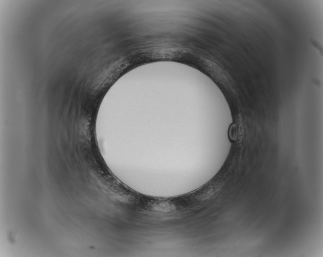 X0000101980258200808081622