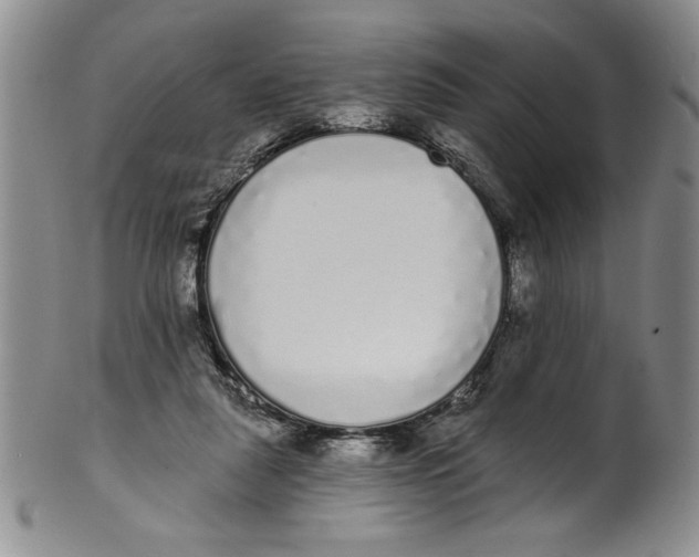 X0000101980259200808081622