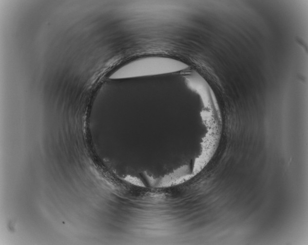 X0000101980260200808081622