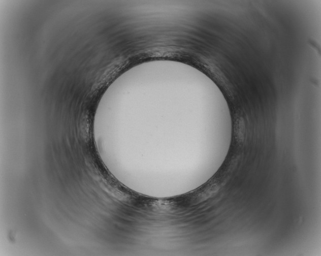 X0000101980261200808081622