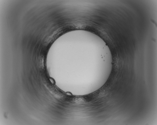 X0000101980262200808081622