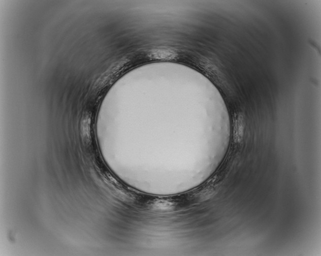 X0000101980263200808081622