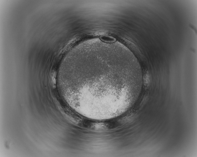 X0000101980264200808081622