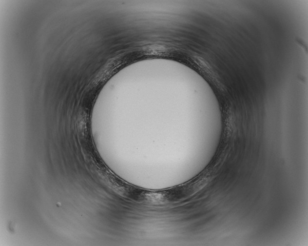 X0000101980265200808081622