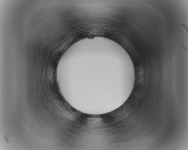 X0000101980266200808081622