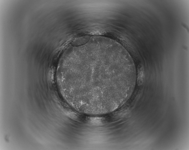 X0000101980268200808081622