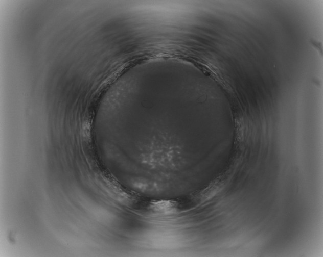 X0000101980269200808081622