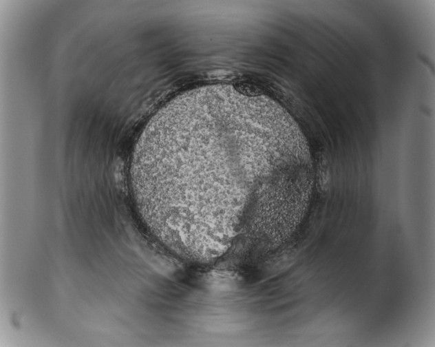 X0000101980270200808081622