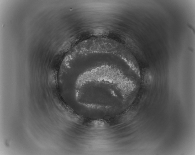 X0000101980272200808081622