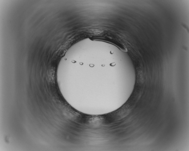 X0000101980274200808081622