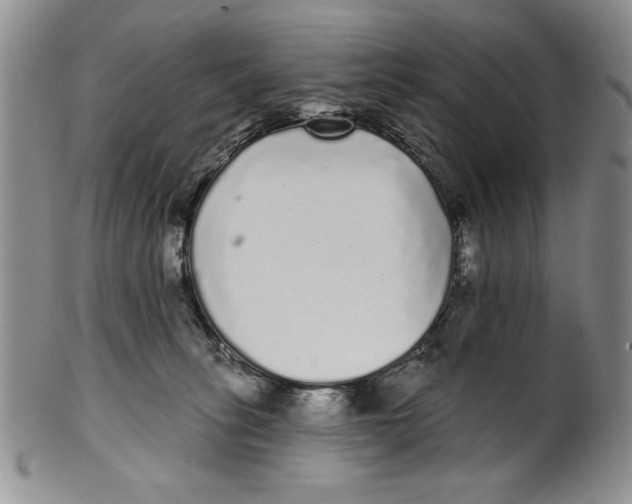 X0000101980275200808081622