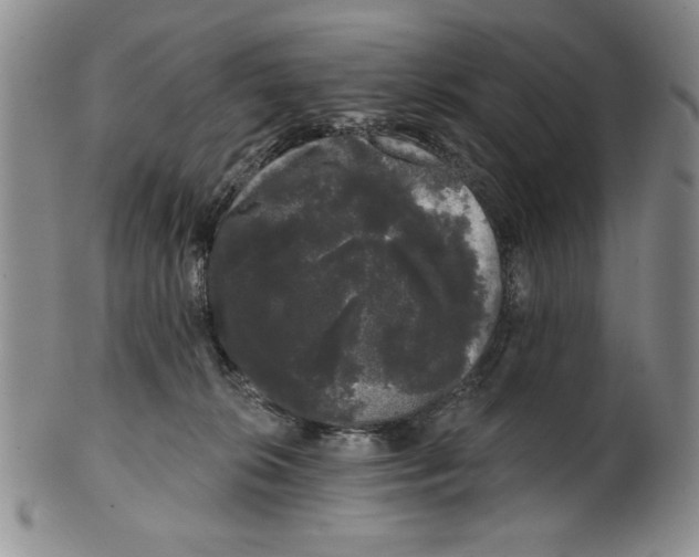 X0000101980276200808081622